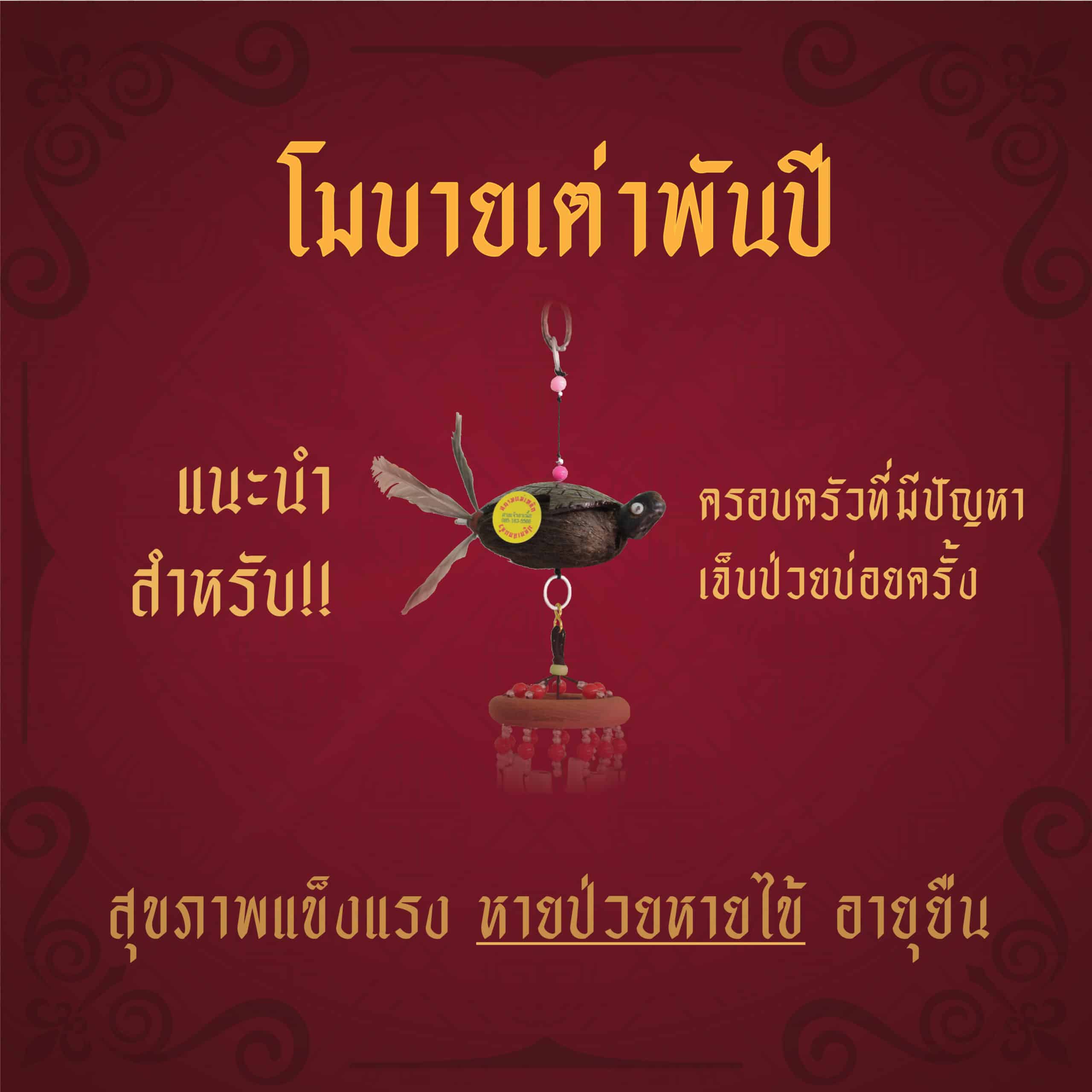 โมบายเต่าพันปี เสริมสุขภาพแข็งแรง อายุยืน